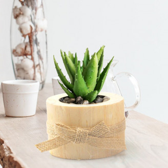 Mini pot bois décoration de table bougeoir petite plante succulente centre de table mariage