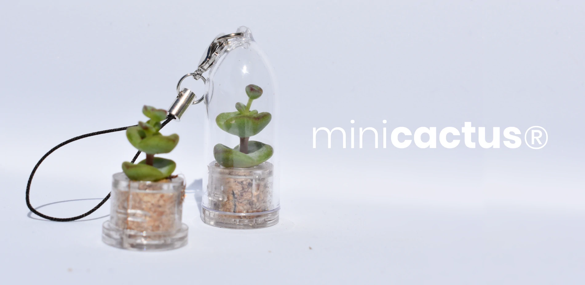 Minicactus, une mini plante en porte clé